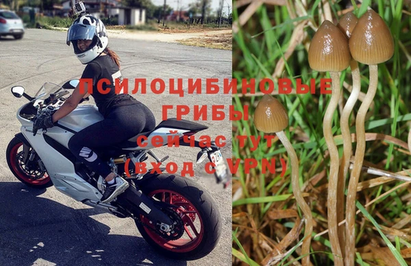 сатива Алексеевка